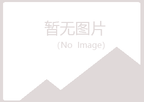 盐山县冰彤服务有限公司